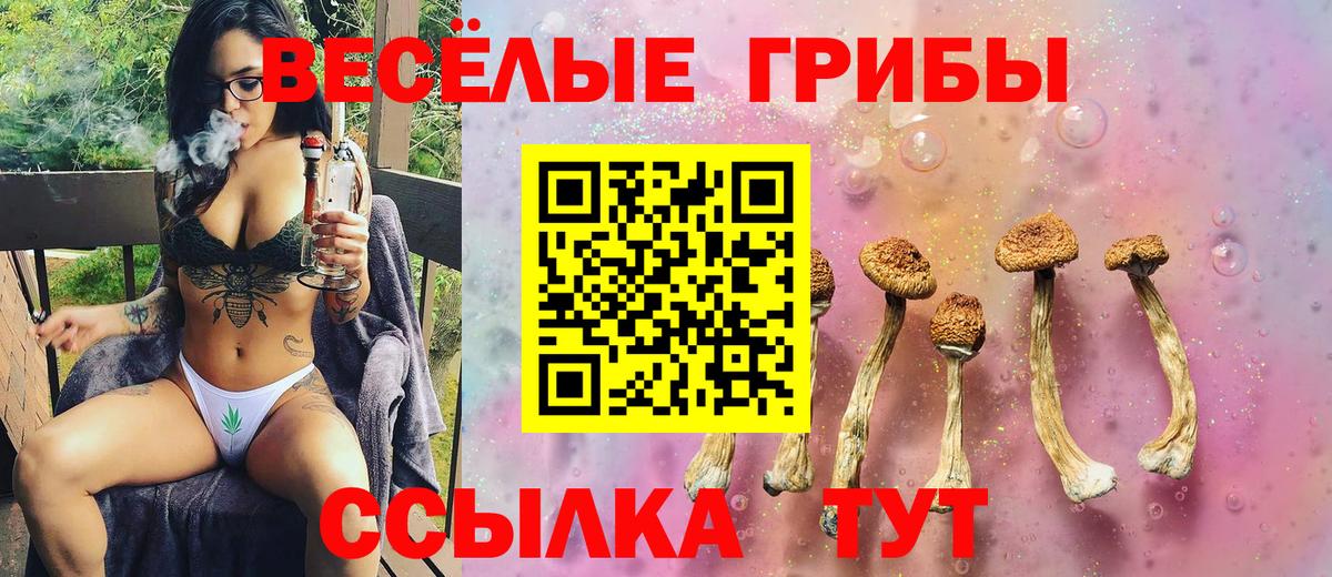 Галлюциногенные грибы ЛСД Нерюнгри