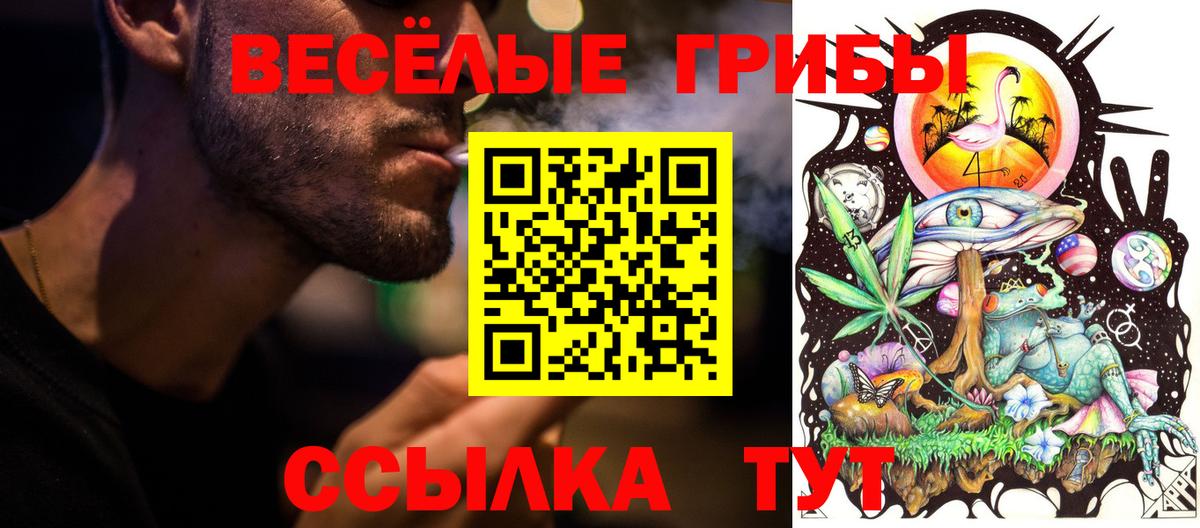 Нерюнгри  Галлюциногенные грибы GOLDEN TEACHER  цена наркотик  Вход с VPN 